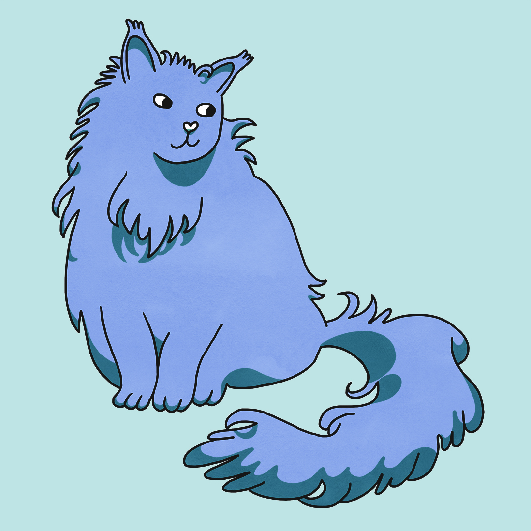 cute long-haired cat illustration