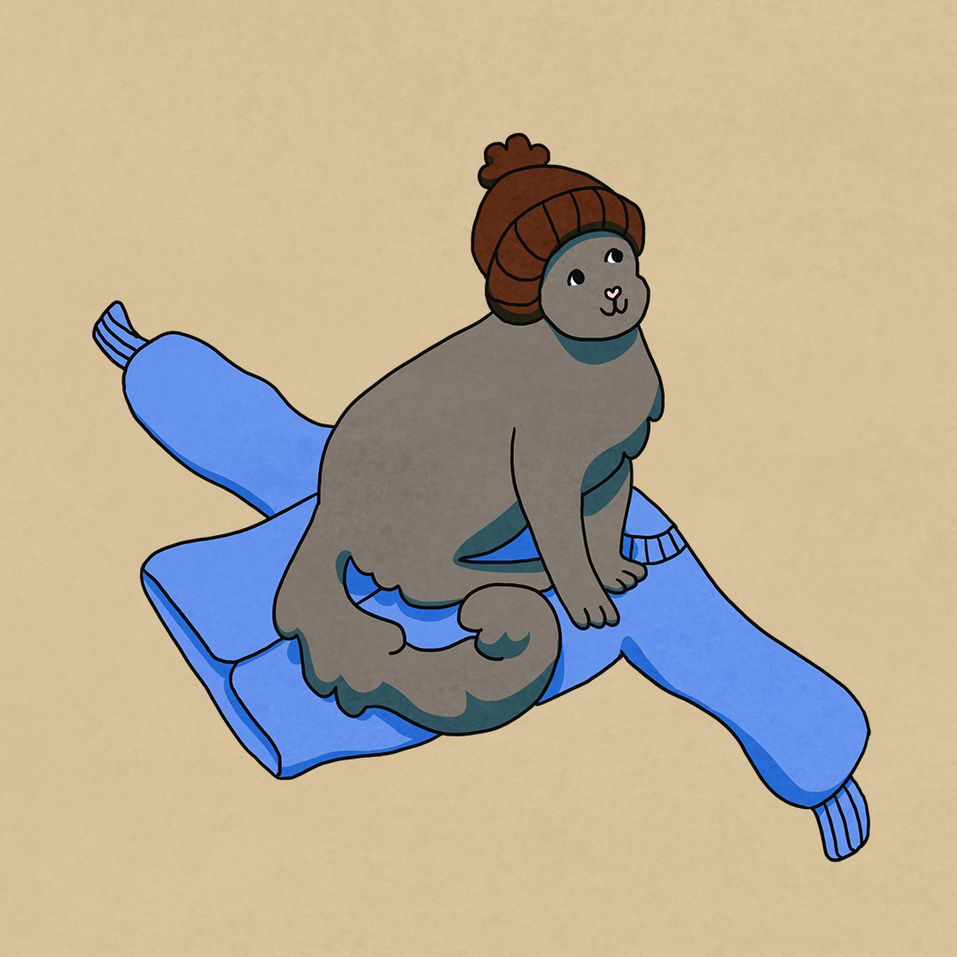 cute cat with scarf illustration