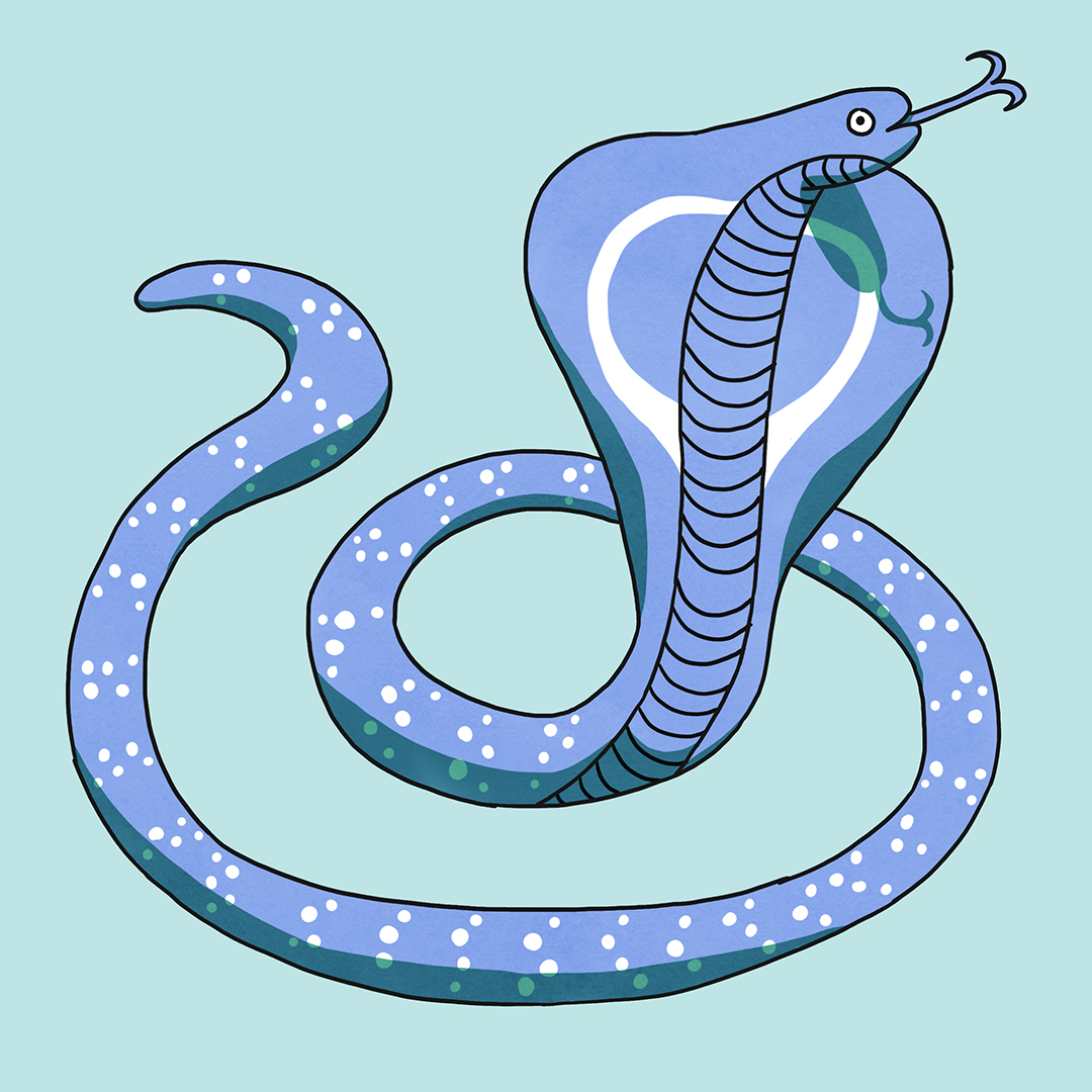 cute cobra illustration
