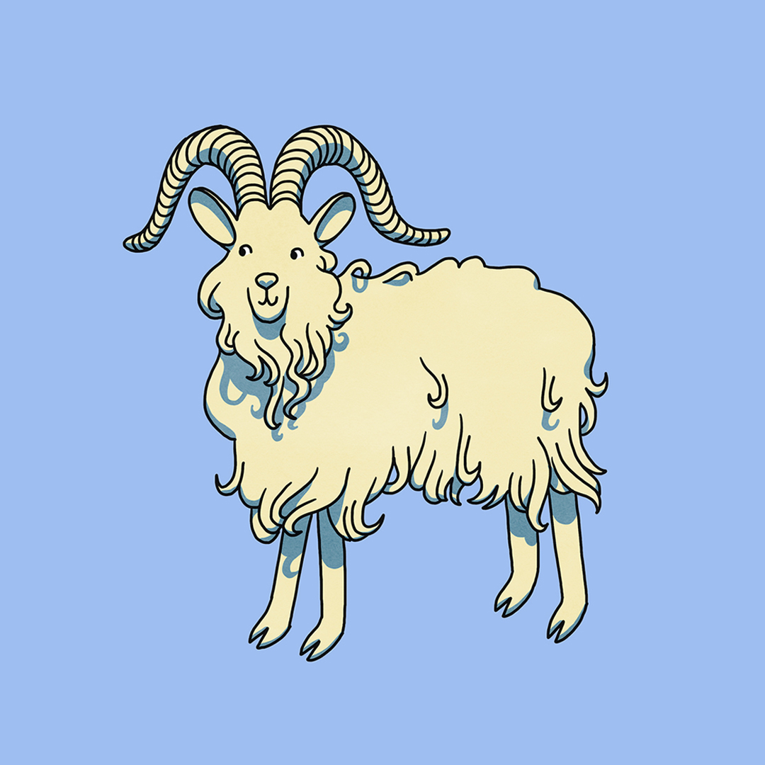 cute goat illustration