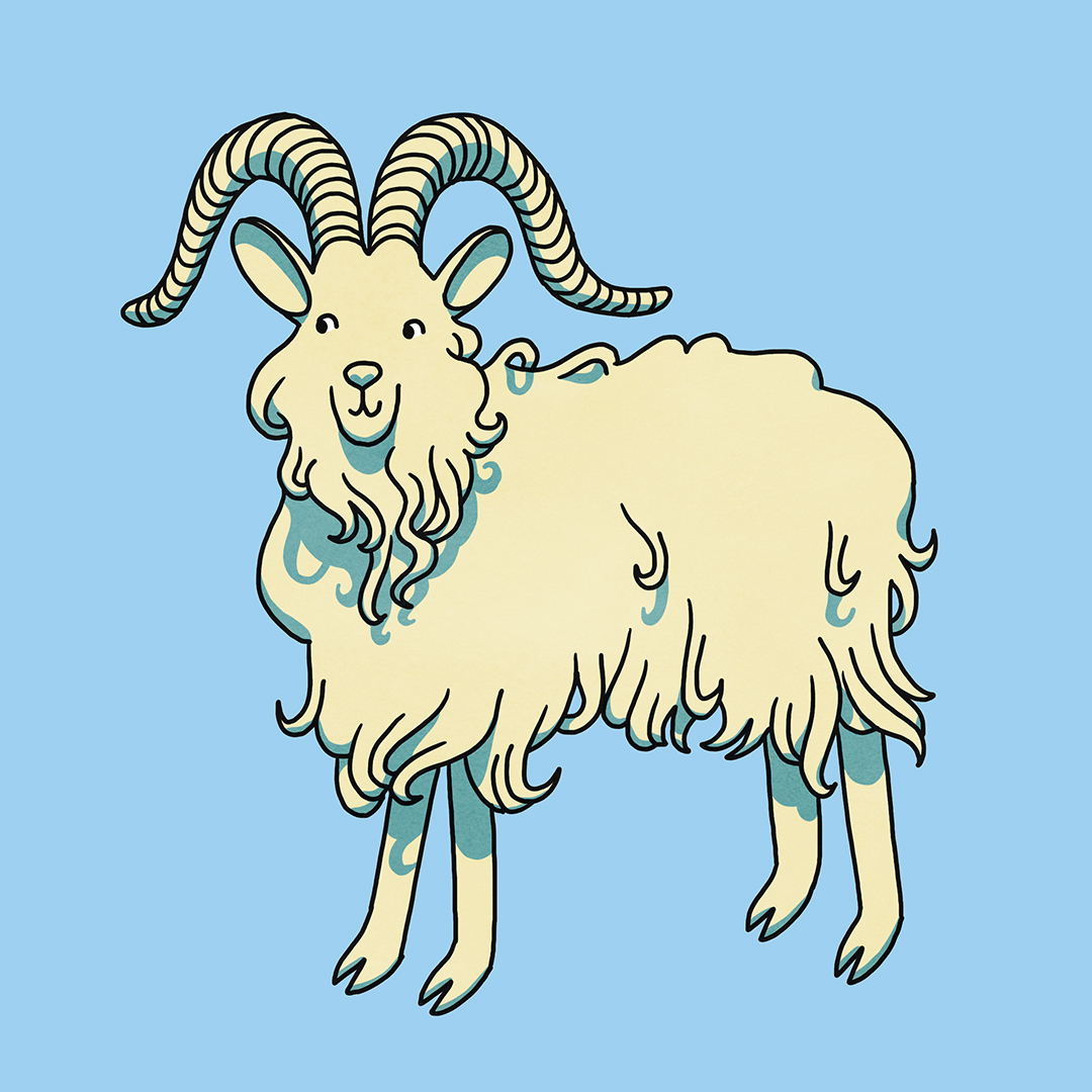 cute goat illustration