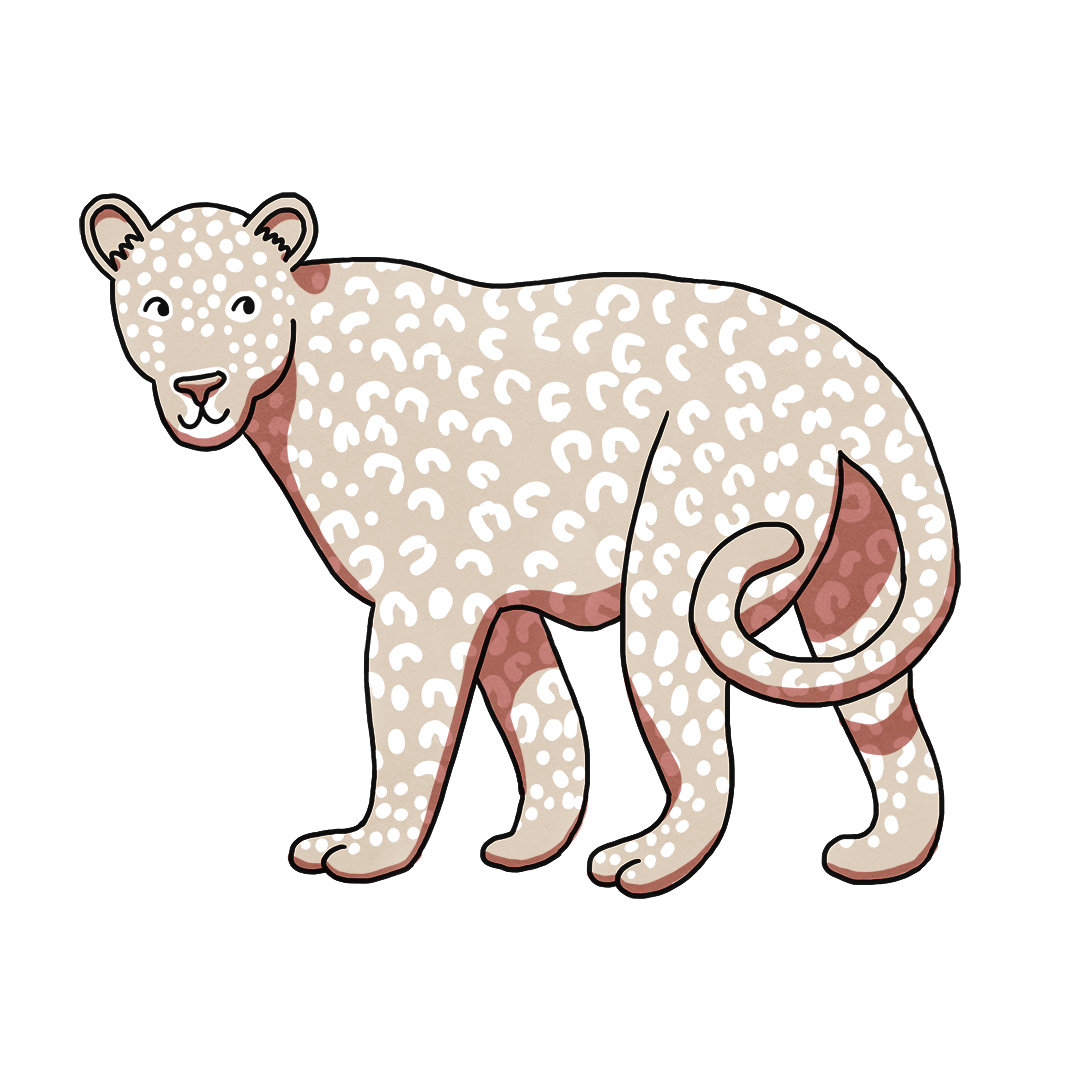 cute leopard illustration