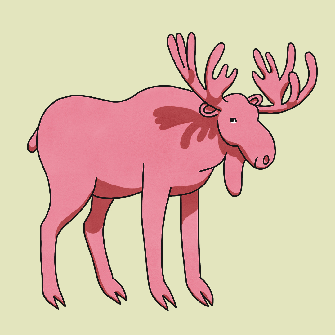 cute moose illustration