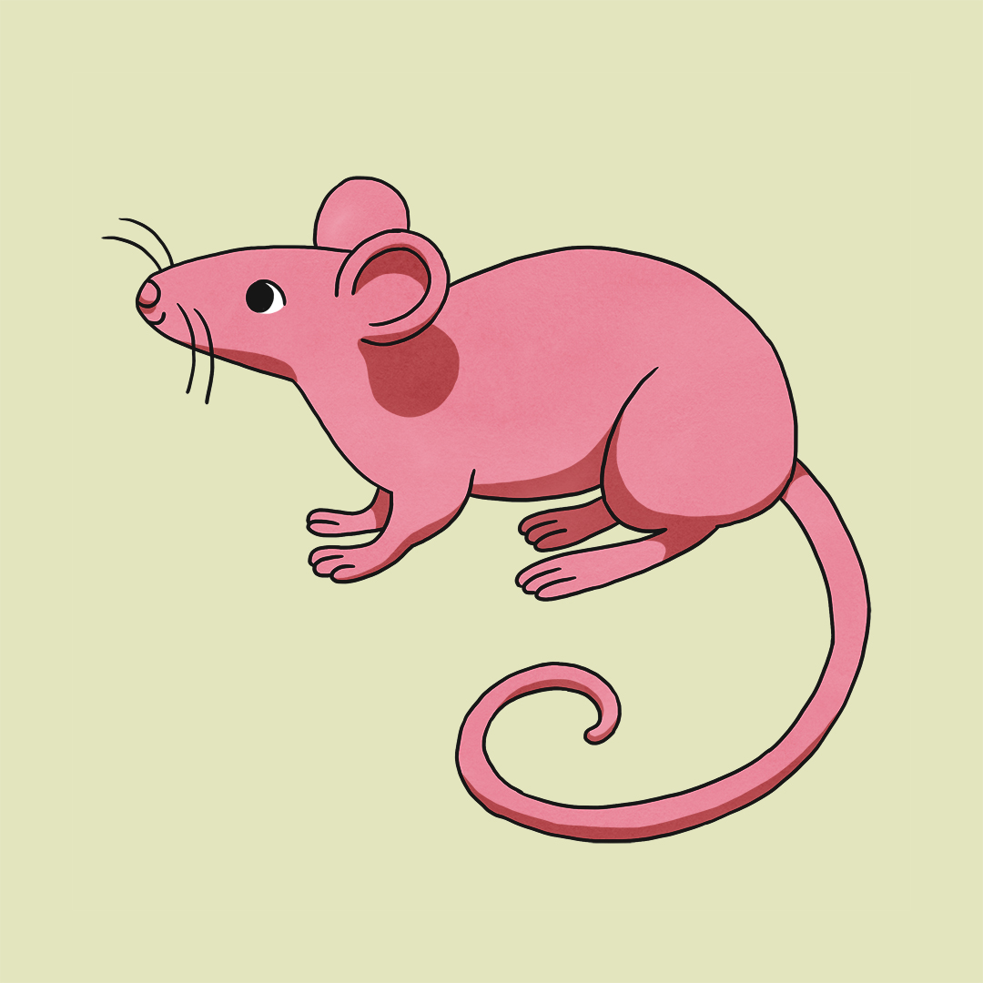 cute mouse illustration