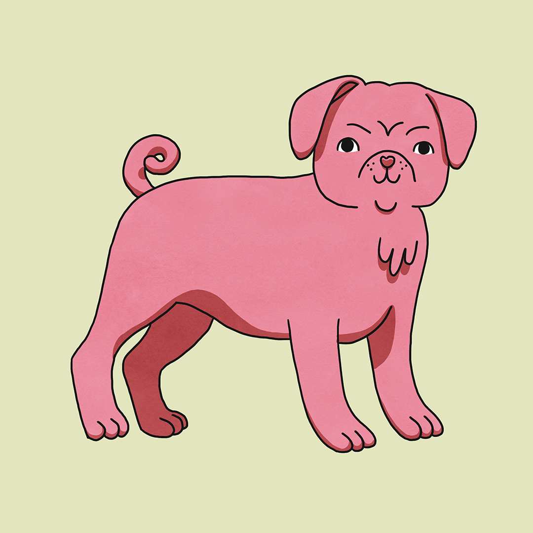 cute pug illustration