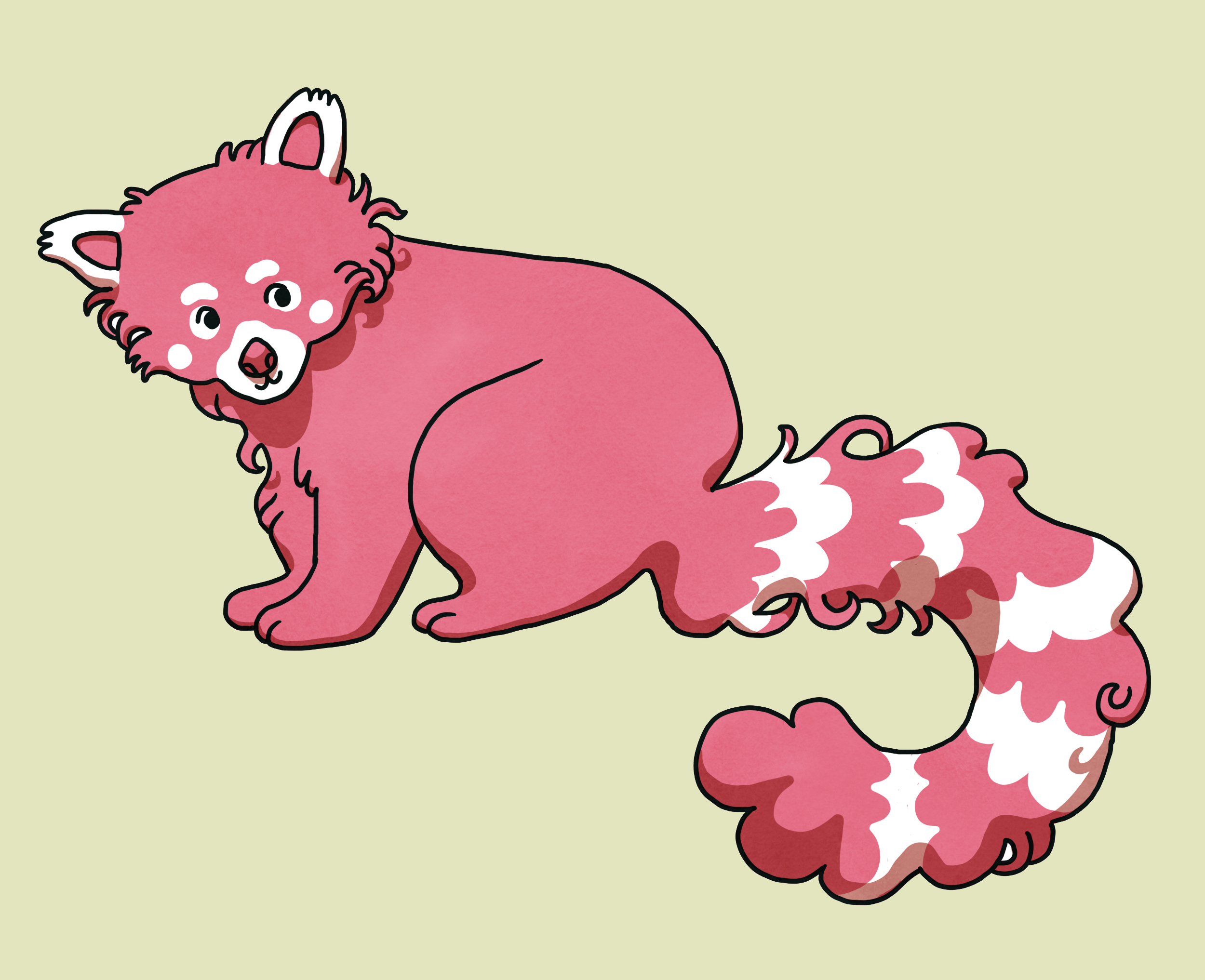 illustration of a cute red panda