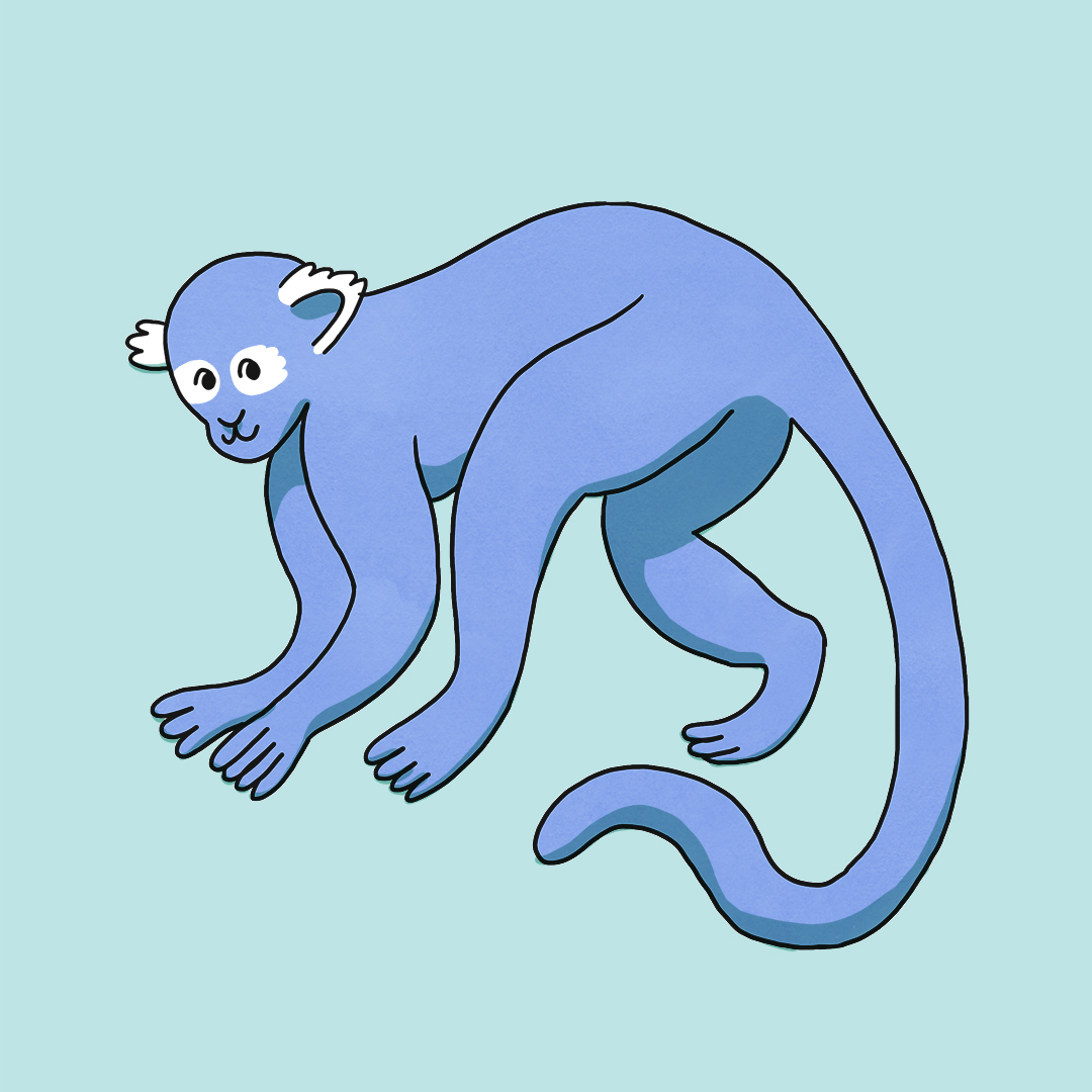 cute monkey illustration