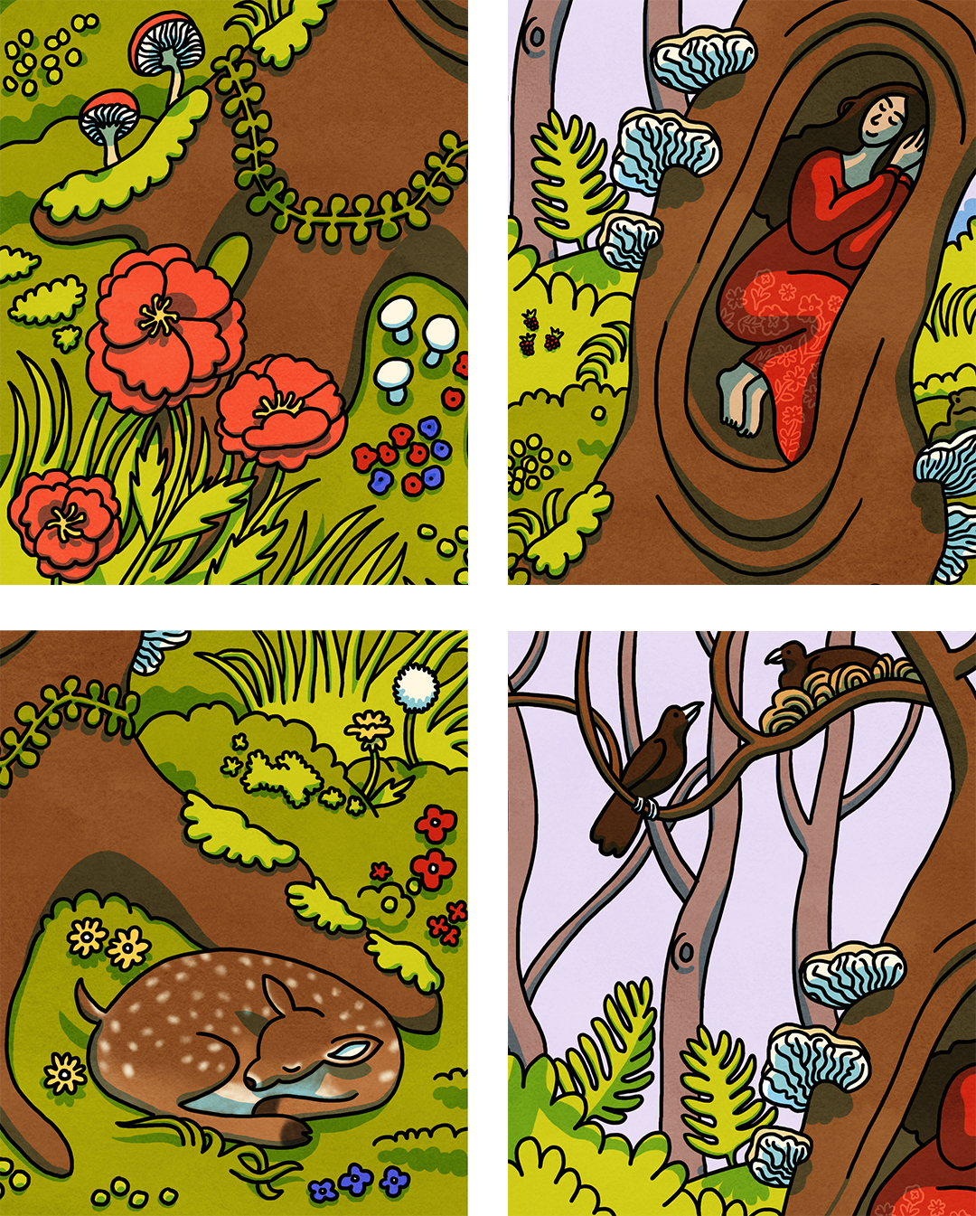 close-ups of illustration