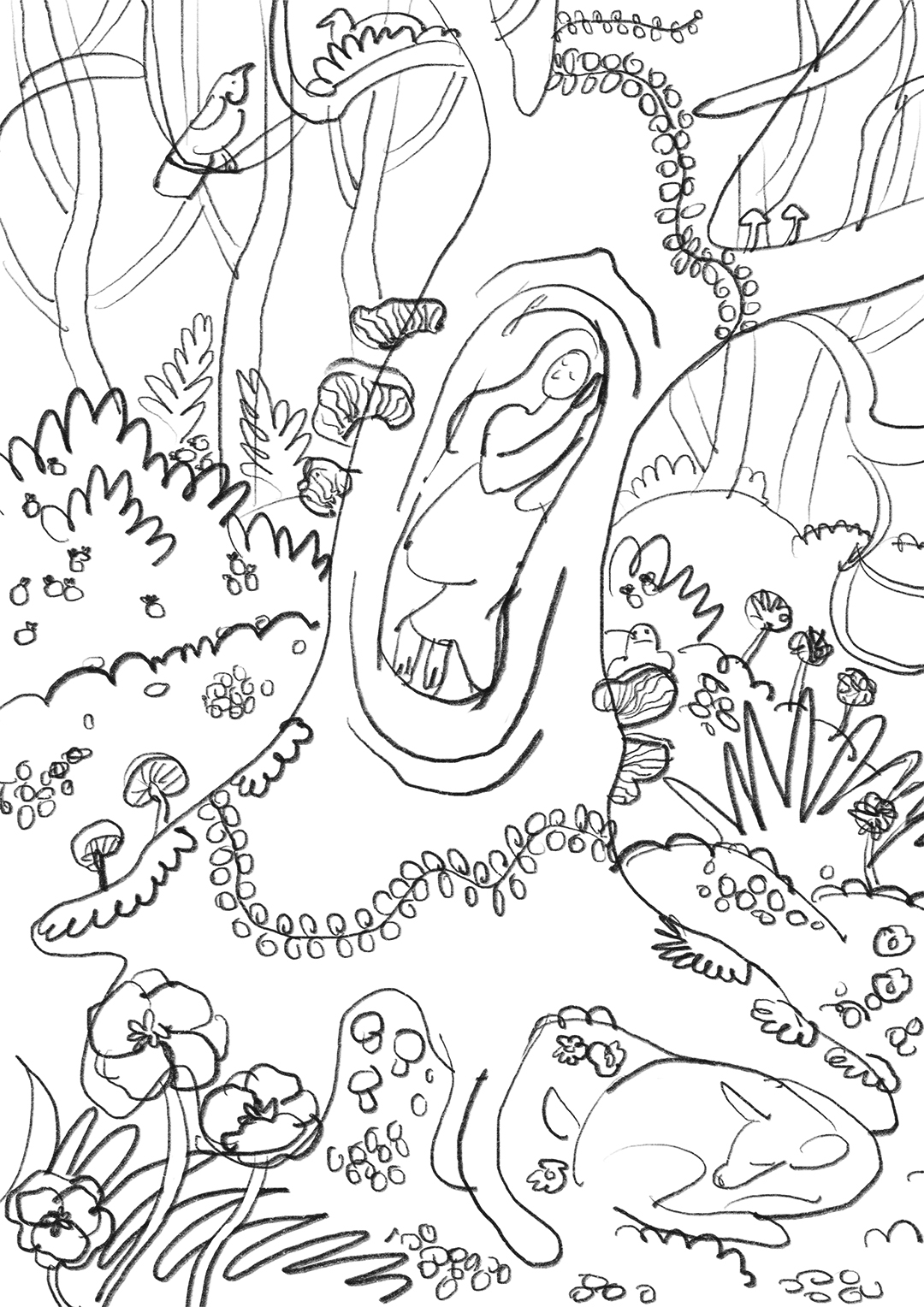 sketch of illustration