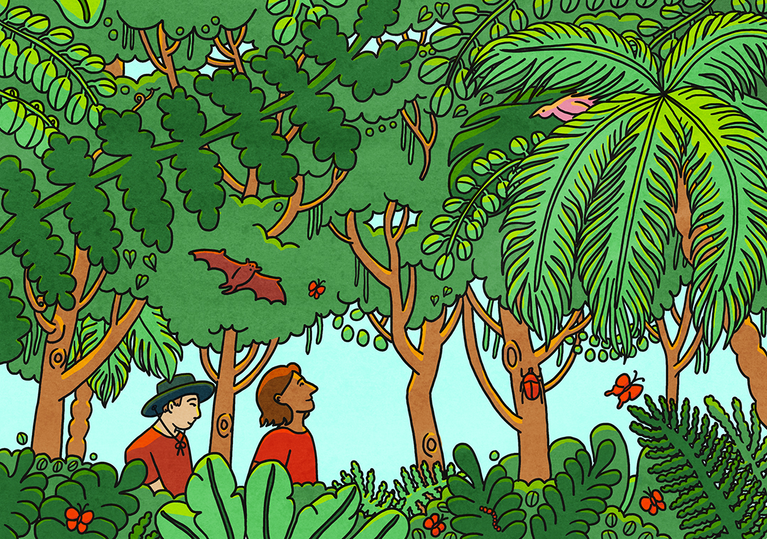 illustration of a jungle