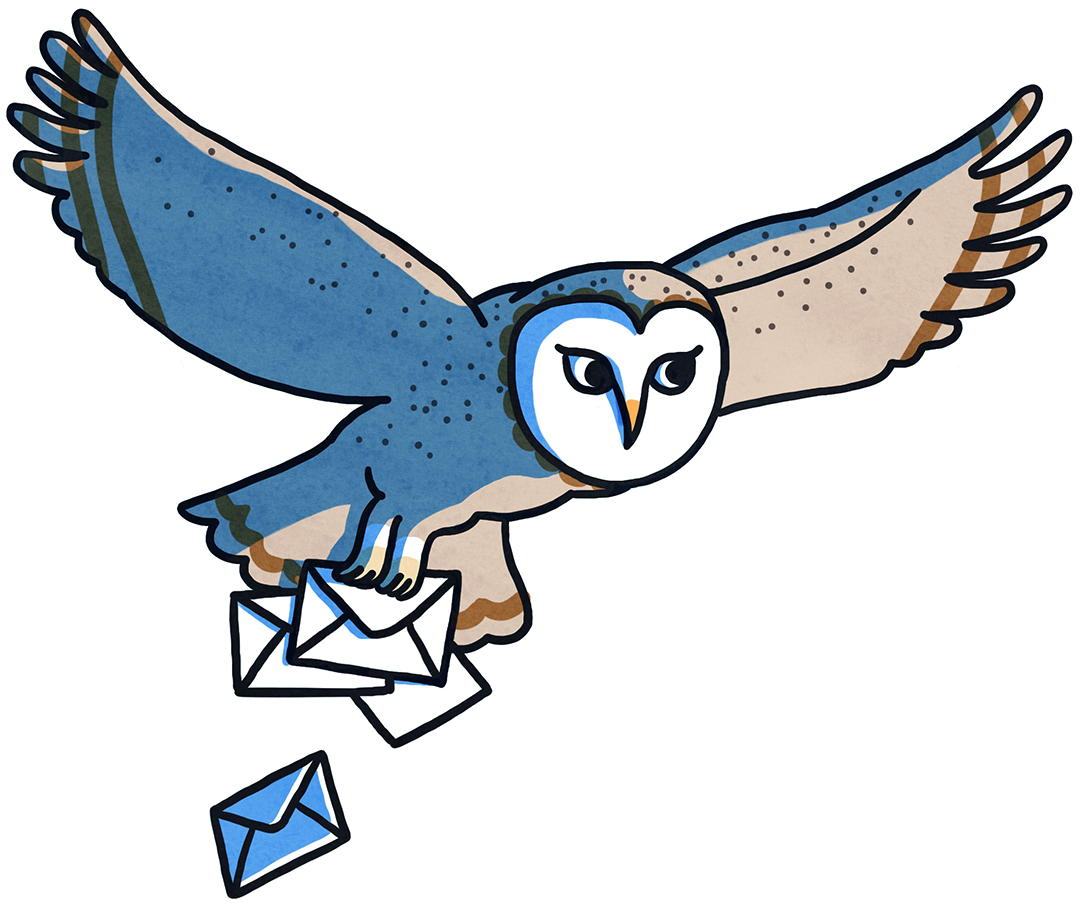 illustration of an owl with letters