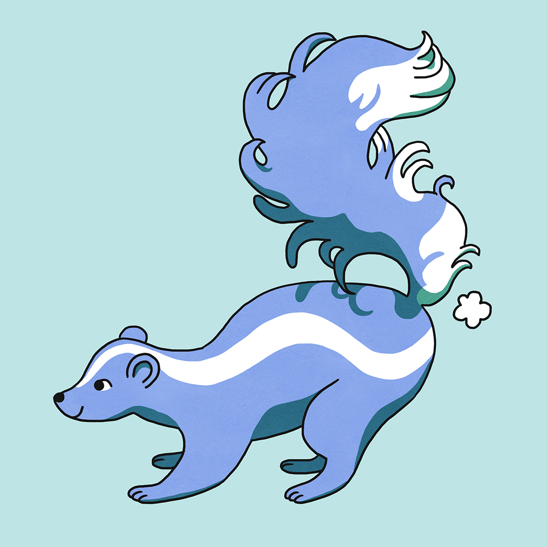 cute skunk illustration