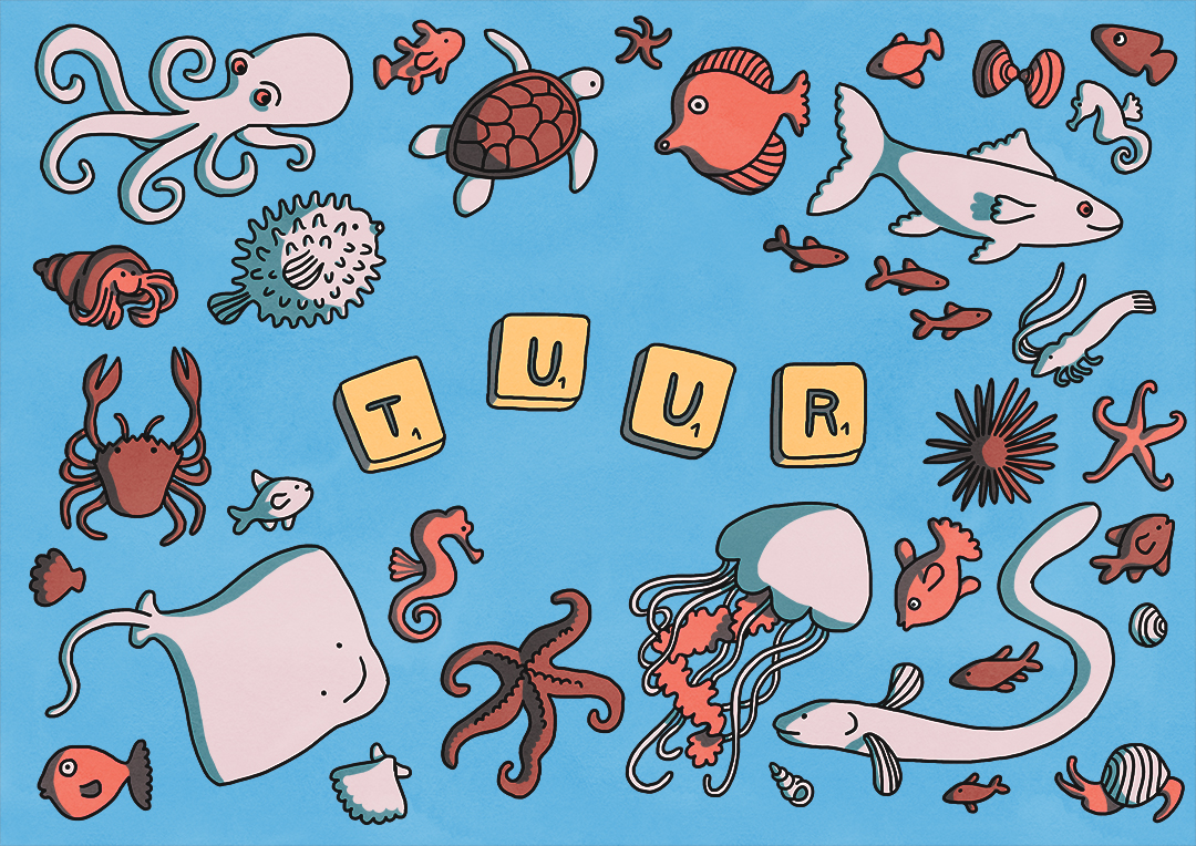 sea theme birth announcement